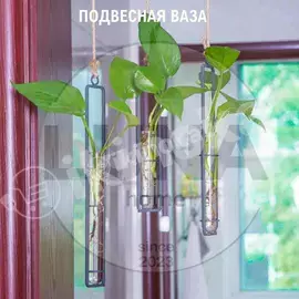 Подвесная ваза для растений 3шт Неизвестный бренд 