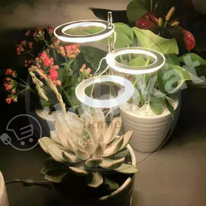 Фитолампа для растений 3 круга свечения Неизвестный бренд 