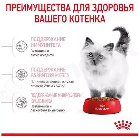 Сухой корм royal canin kitten для котят от 4 до 12 месяцев, 10 кг Royal canin 