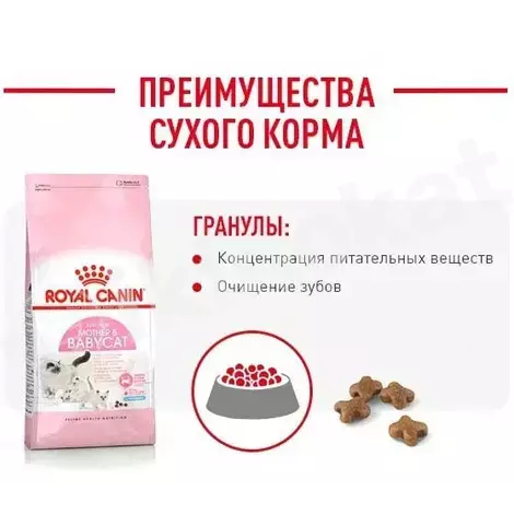 Royal canin "mother & babycat" pişikler üçin gury iýmit, 2 kg Royal canin 