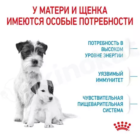 Сухой корм royal canin mini starter mother & babydog для беременных и кормящих собак и щенков мелких пород до 2-х месяцев, 4 кг Royal canin 