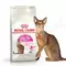 Сухой корм royal canin savour exigent для привередливых кошек от 1 года, 1 кг (весовой) Royal canin 