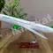 Uçaryň modeli boeing 777-200 "turkmenistan" 47sm (metal) Неизвестный бренд 