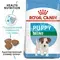 Корм сухой royal canin mini puppy для щенков мелких пород с 2 до 10 месяцев, 2 кг Royal canin 