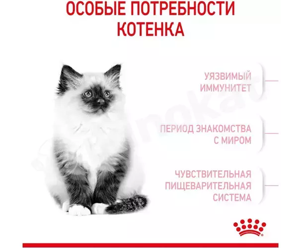 Сухой корм royal canin "kitten" для котят от 4 до 12 месяцев, 10 кг Royal canin 