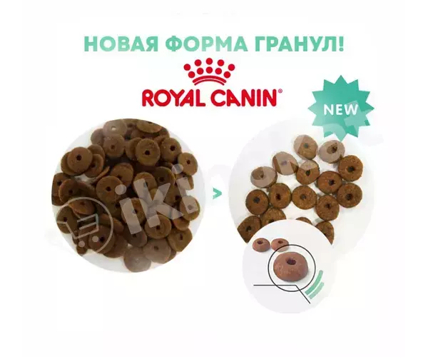 Сухой корм для кошек royal canin "digestive care" для поддержания здоровья пищеварительной системы от 1 до 12 лет, 1кг (весовой) Royal canin 