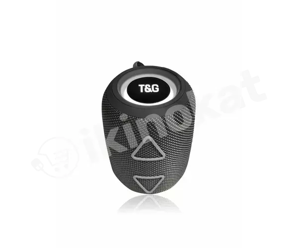 Mini audio kolonka t&g tg655 T&g 