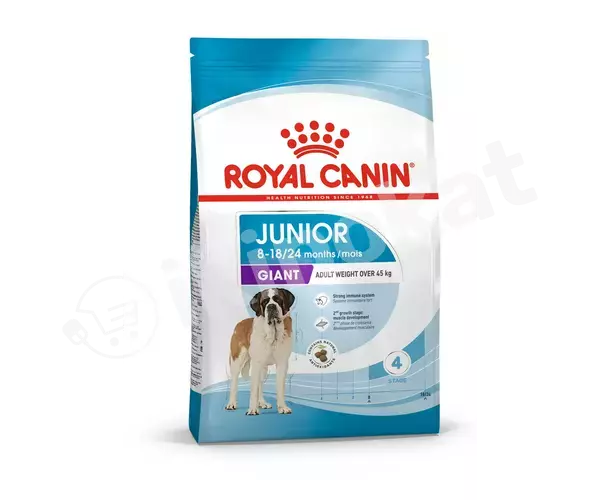 Сухой корм royal canin giant junior для щенков крупных пород от 8 месяцев до 2 лет, 15кг Royal canin 