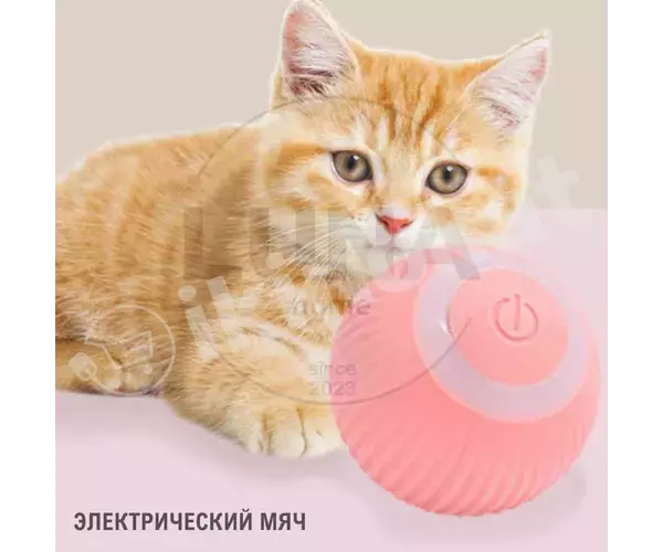 Игрушка электрический мяч для кошек и собак Неизвестный бренд 
