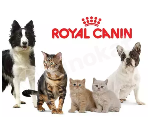 Royal canin güjükler üçin gury iýmit, 1,5kg Royal canin 