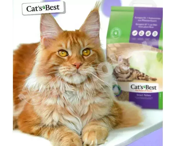 Cat's best smart pellets pişik hajathanasy üçin 5kg, (10l) Cat's best 